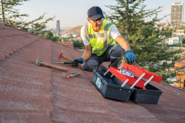 Best Fascia and Soffit Installation  in Jemison, AL